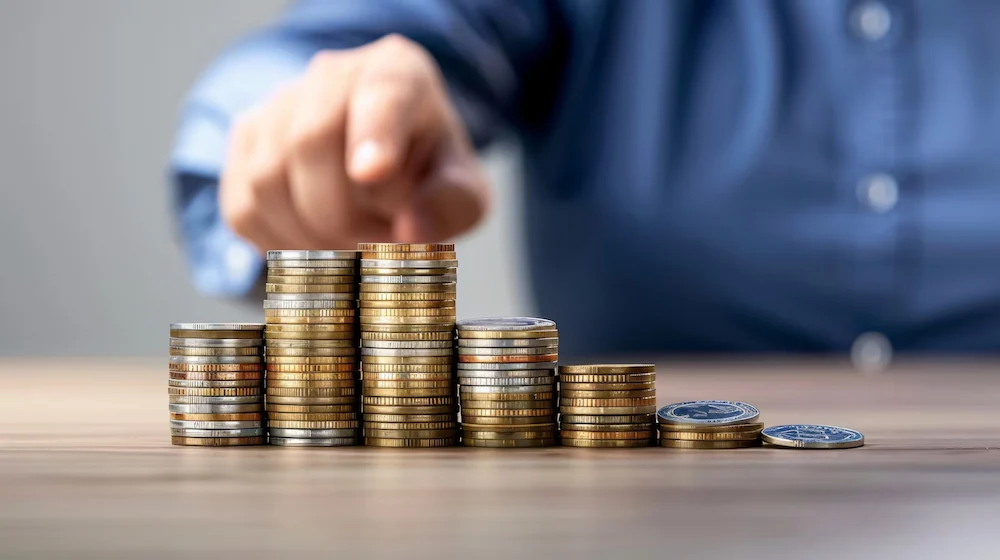 gestao do fluxo de caixa